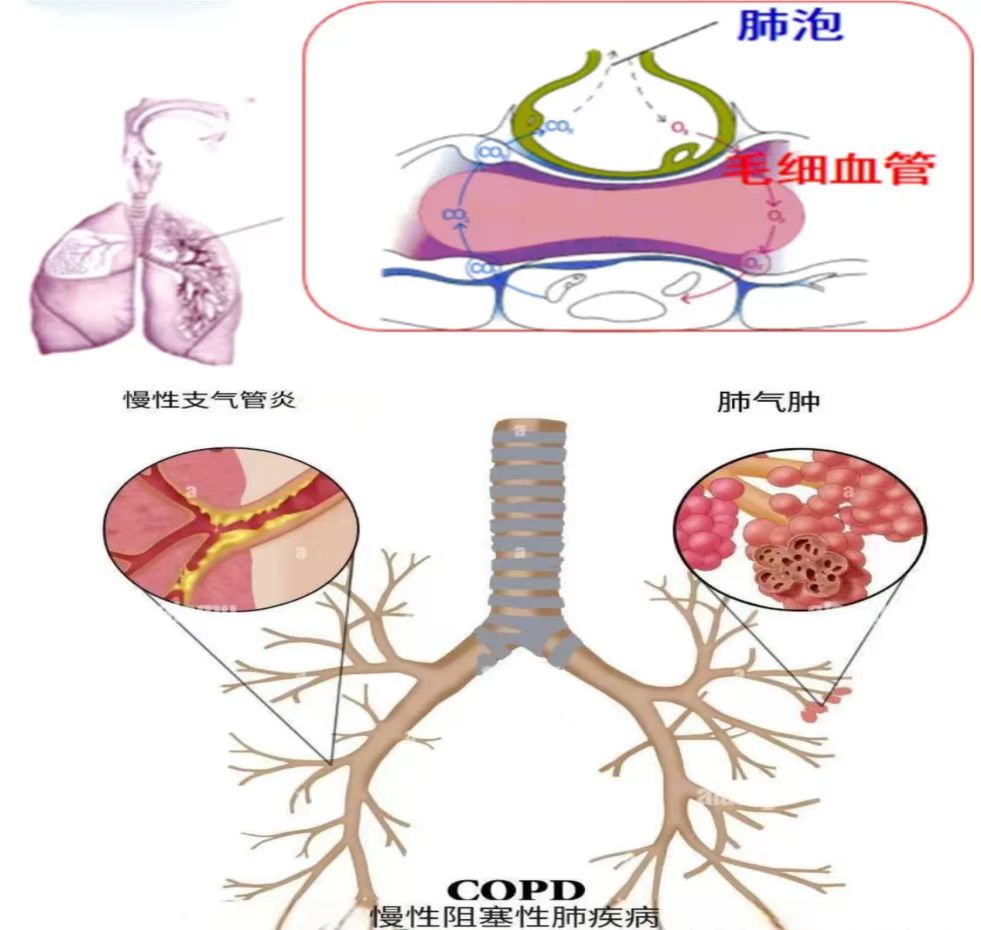 微信图片_20250704175110.jpg