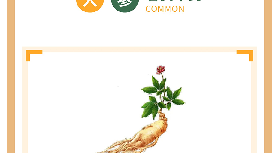 膏方养生_08.jpg