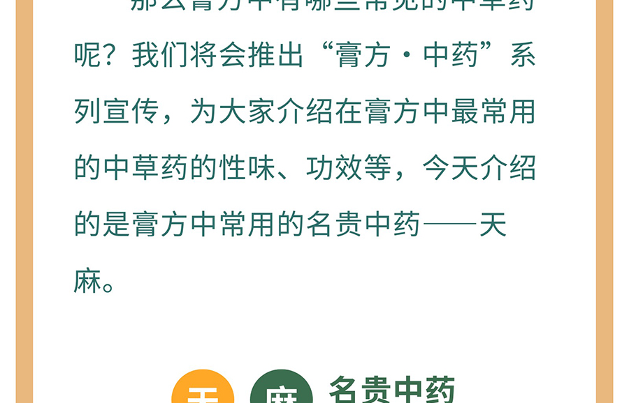 【膏方·中药】膏方中常见的中草药——天麻_06.jpg