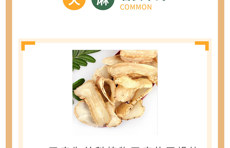 【膏方·中药】膏方中常见的中草药——天麻_07.jpg