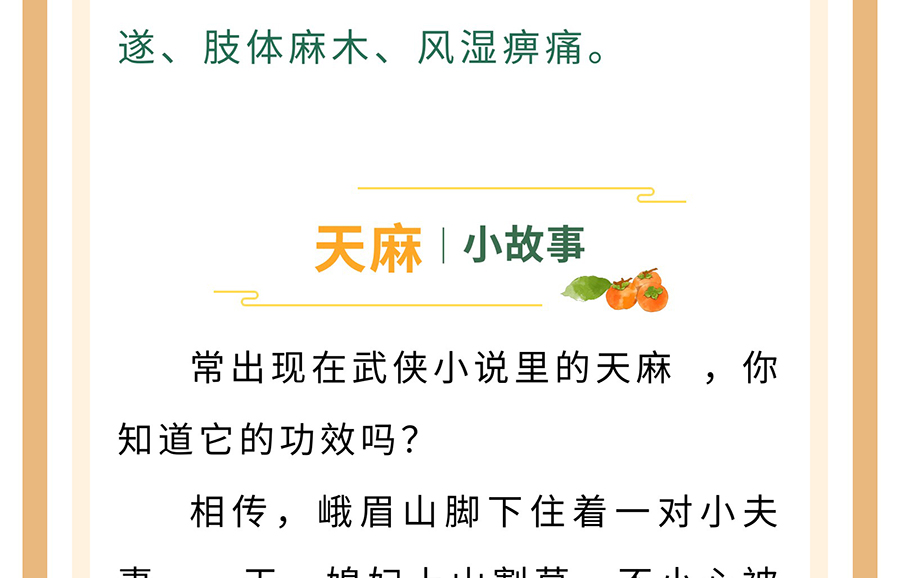【膏方·中药】膏方中常见的中草药——天麻_09.jpg