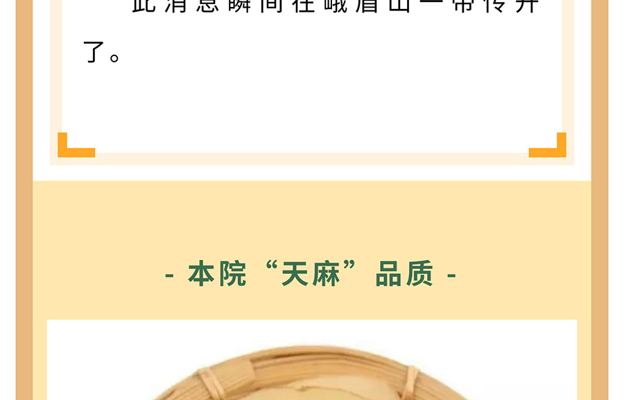 【膏方·中药】膏方中常见的中草药——天麻_12.jpg